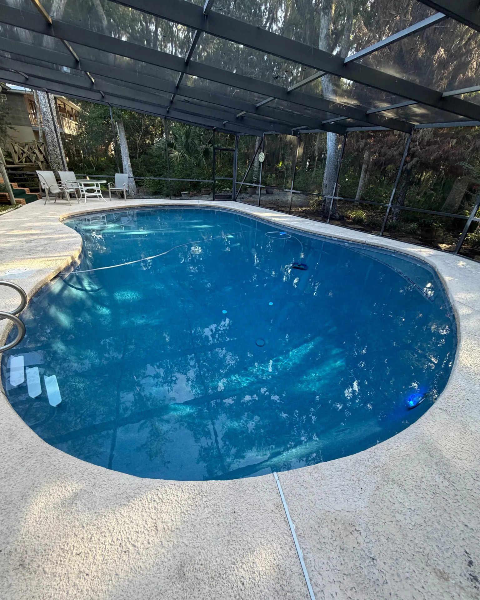 Screened custom pool with clear water built by Scott's Pools & Spas in Jacksonville