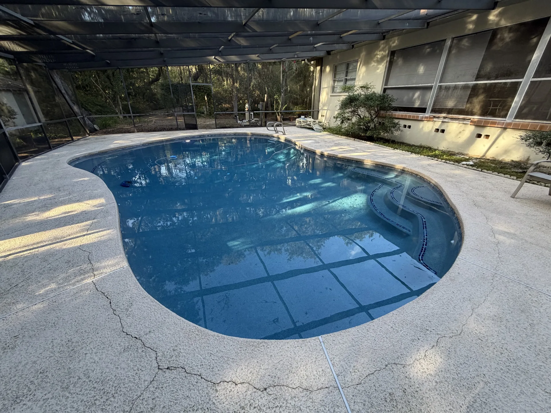 Finished freeform pool in a screen enclosure built by Scott's Pools & Spas in Jacksonville