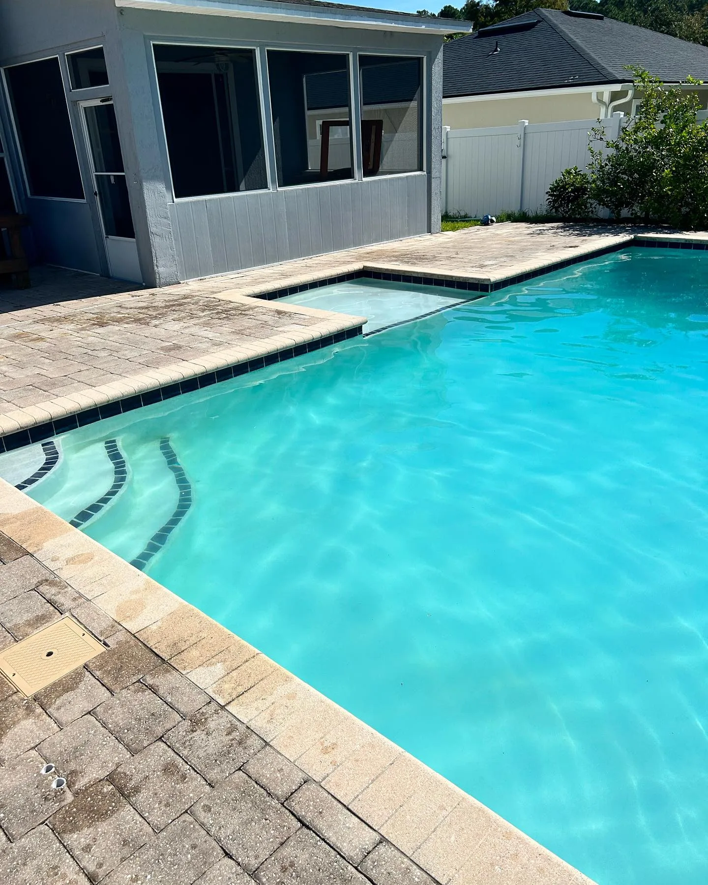 Clear custom pool in a screen room built by Scott's Pools & Spas in Jacksonville